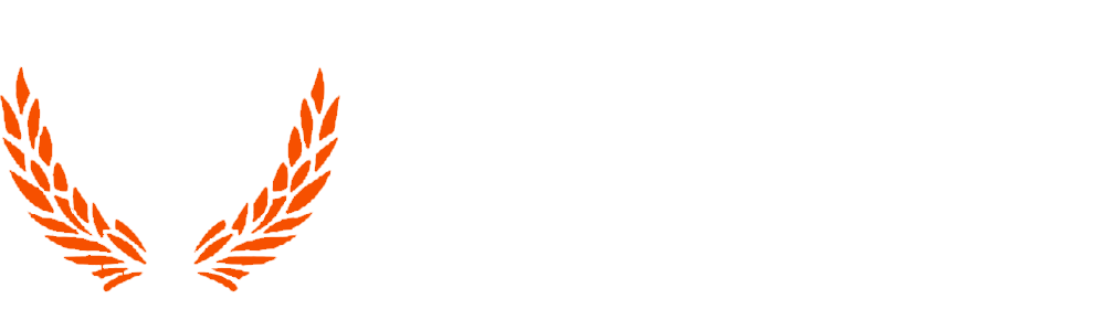 Norxpharma logo